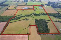 Undeveloped Land in Lamar County, Texas