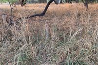 Land for sale in Honolulu County, Hawaii