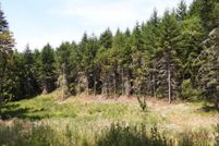 Undeveloped Land for sale in Clallam County, Washington
