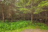 Recreational Property for sale in Cowlitz County, Washington