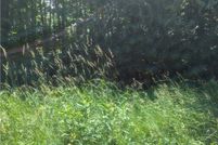 Homesite for sale in Chippewa County, Wisconsin