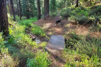 Timberland Property for sale in Sierra County, California