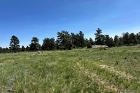 Land for sale in Larimer County, Colorado