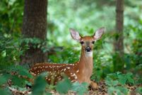 Recreational Property for sale in Pike County, Pennsylvania