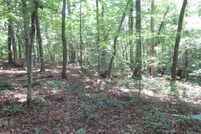 Undeveloped Land for sale in Pickens County, South Carolina