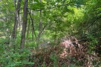 Timberland Property for sale in Fairfax County, Virginia
