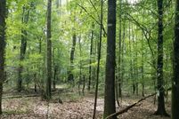Farm and Ranch for sale in Dallas County, Alabama