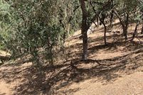 Farm and Ranch for sale in San Luis Obispo County, California