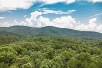 Undeveloped Land for sale in Fannin County, Georgia
