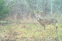 Land for sale in Navarro County, Texas