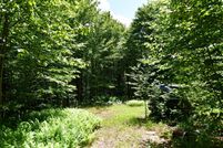 Undeveloped Land for sale in Delaware County, New York