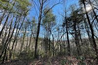 Undeveloped Land for sale in Clay County, North Carolina