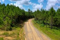 Timberland Property for sale in Attala County, Mississippi