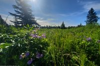 Land for sale in Kenai Peninsula Borough, Alaska