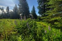 Land for sale in Kenai Peninsula Borough, Alaska