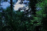 Farm and Ranch for sale in Wood County, Texas