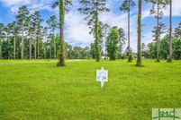 Undeveloped Land for sale in McIntosh County, Georgia