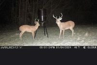 Land for sale in Henry County, Alabama