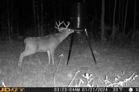 Land for sale in Henry County, Alabama