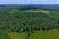 Timberland Property in Crenshaw County, Alabama