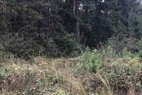 Land for sale in Talladega County, Alabama