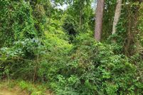 Land for sale in Pearl River County, Mississippi