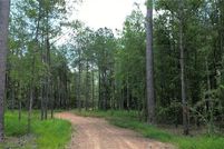 Land for sale in Livingston Parish, Louisiana