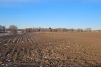 Undeveloped Land in Douglas County, Minnesota