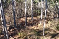 Land for sale in Elbert County, Georgia