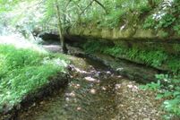 Farm and Ranch for sale in Boone County, Arkansas