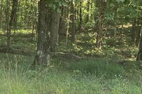 Undeveloped Land for sale in Van Buren County, Arkansas