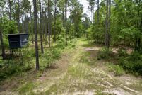 Undeveloped Land for sale in Dodge County, Georgia