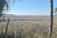 Undeveloped Land for sale in McIntosh County, Georgia