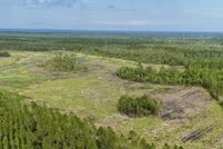 Farm and Ranch for sale in Brantley County, Georgia