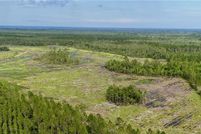 Farm and Ranch for sale in Brantley County, Georgia