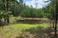 Undeveloped Land for sale in Pushmataha County, Oklahoma