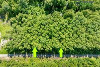 Undeveloped Land in Matanuska-Susitna Borough, Alaska