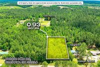 Land for sale in Bleckley County, Georgia