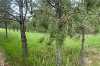 Undeveloped Land for sale in Roberts County, South Dakota