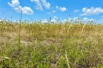 Undeveloped Land for sale in Collin County, Texas