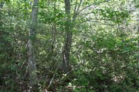 Farm and Ranch for sale in Highland County, Virginia
