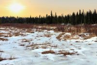 Land for sale in Kenai Peninsula Borough, Alaska