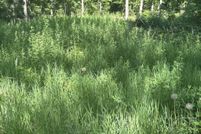 Land for sale in Missaukee County, Michigan