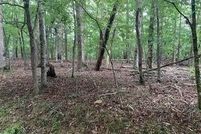 Land for sale in Pickens County, Georgia
