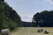 Undeveloped Land for sale in Cullman County, Alabama