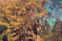Undeveloped Land for sale in Washington County, Wisconsin