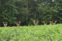 Farm and Ranch for sale in Blount County, Alabama