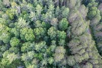 Undeveloped Land for sale in Vilas County, Wisconsin