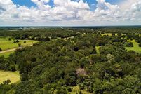 Undeveloped Land for sale in Freestone County, Texas