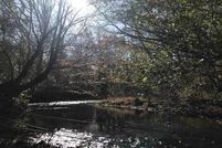 Land for sale in Wayne County, Tennessee